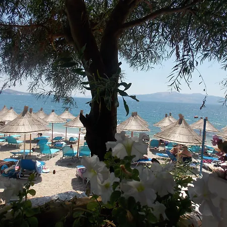 Oceanic Overview Hotell