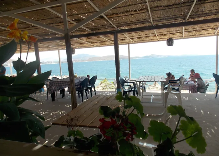 Oceanic Overview Hotel